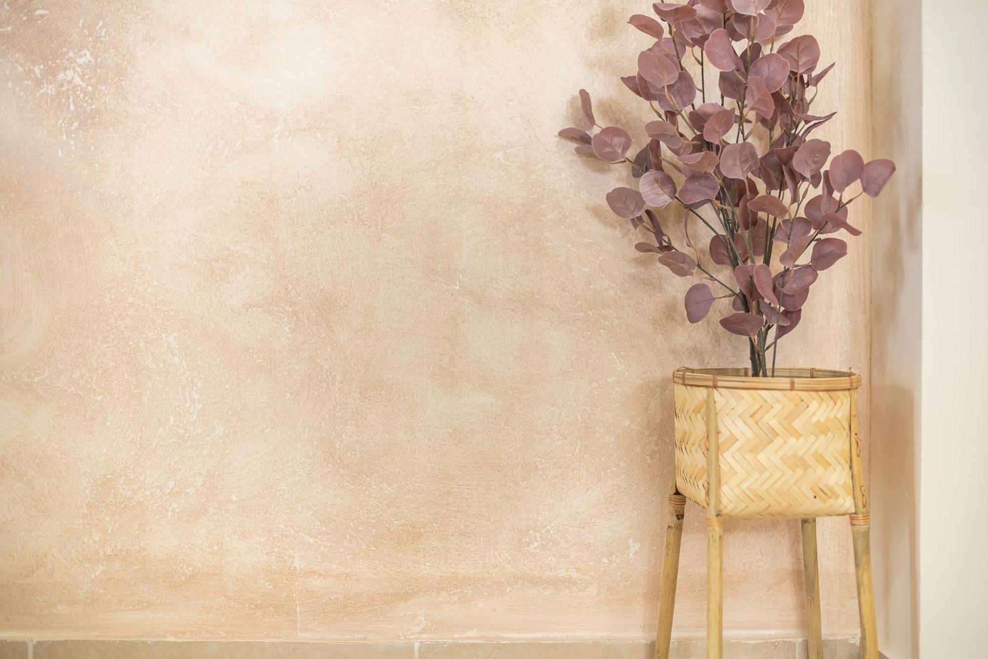 Myilios Luxury Petralona Athens Center公寓 外观 照片